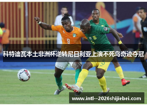 科特迪瓦本土非洲杯逆转尼日利亚上演不死鸟奇迹夺冠