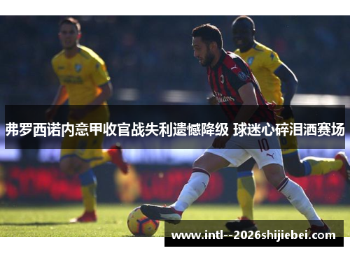 弗罗西诺内意甲收官战失利遗憾降级 球迷心碎泪洒赛场